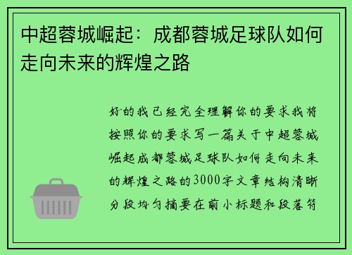 中超蓉城崛起：成都蓉城足球队如何走向未来的辉煌之路